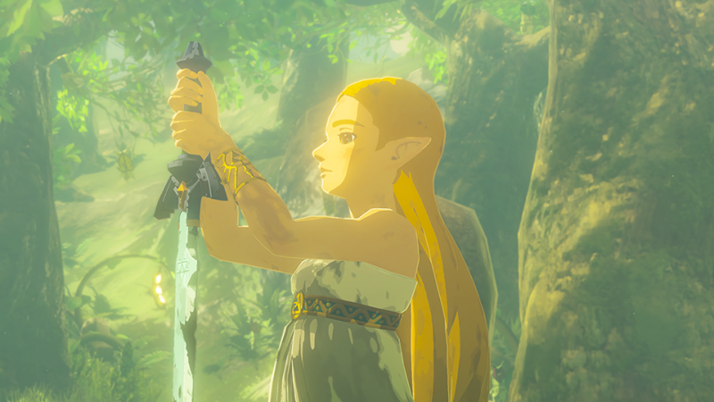 The Legend of Zelda: Breath of the Wild Nintendo Switch 2 Edition
